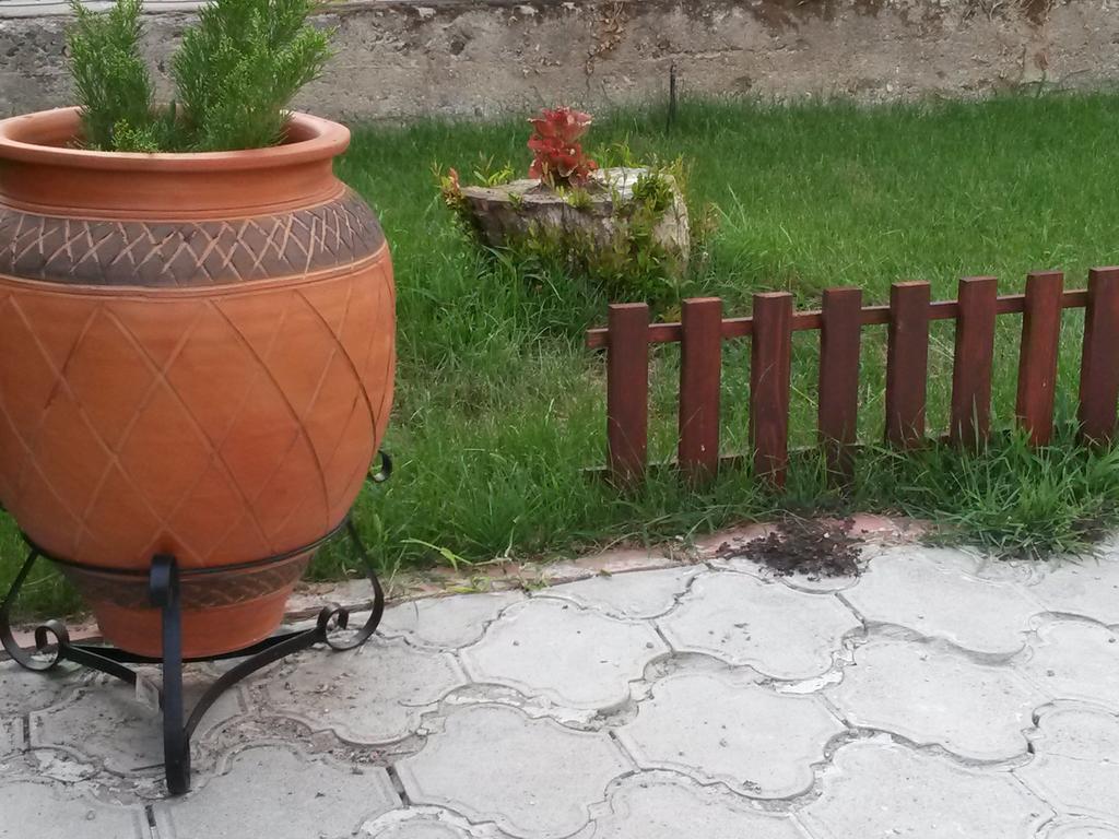 Garden Vila 게브겔리야 외부 사진